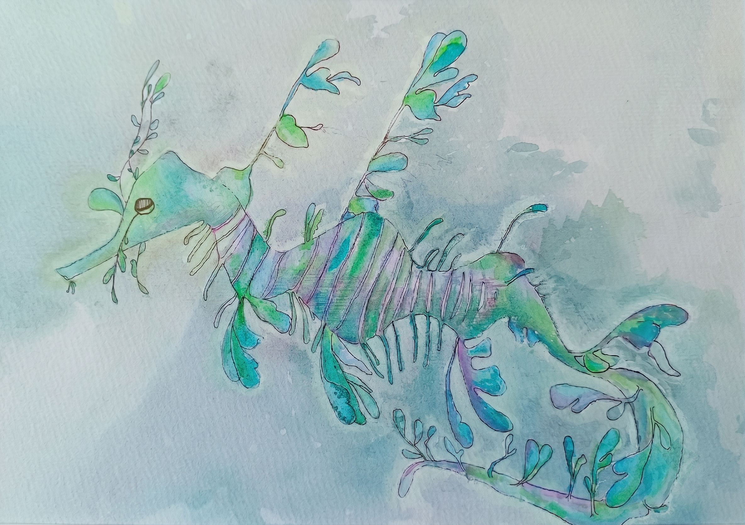 Leafy sea dragon - リーフィーシードラゴン